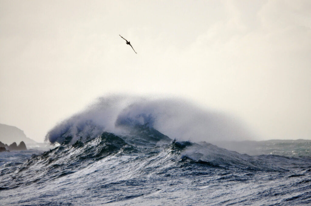 as vast as the ocean